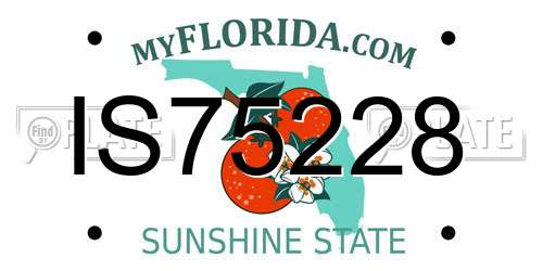 IS75228 Florida License Plate