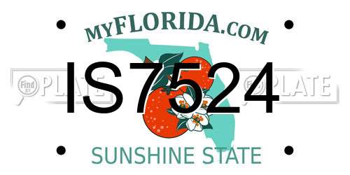 IS7524 Florida License Plate