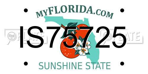 IS75725 Florida License Plate