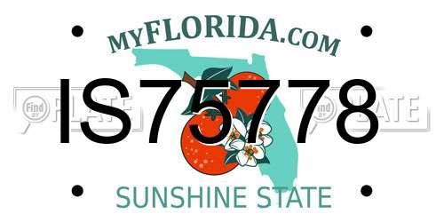 IS75778 Florida License Plate