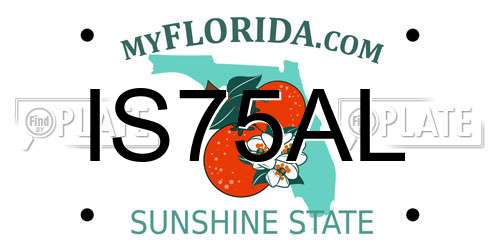 IS75AL Florida License Plate