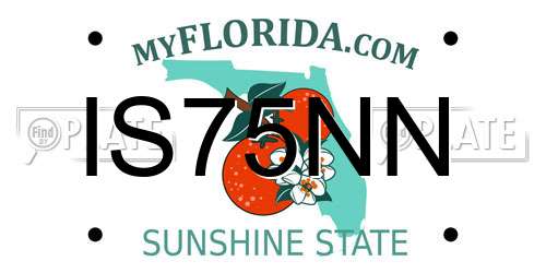 IS75NN Florida License Plate