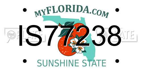 IS77238 Florida License Plate
