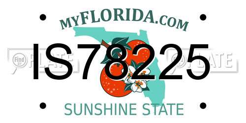 IS78225 Florida License Plate