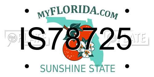 IS78725 Florida License Plate