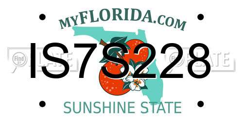IS7S228 Florida License Plate