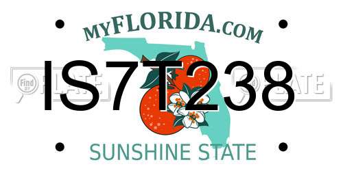 IS7T238 Florida License Plate