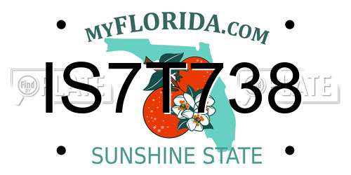 IS7T738 Florida License Plate