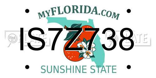 IS7Z738 Florida License Plate