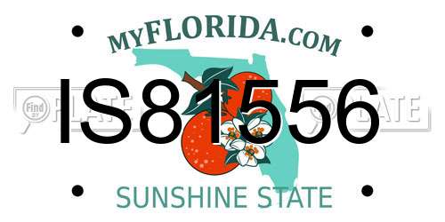 IS81556 Florida License Plate