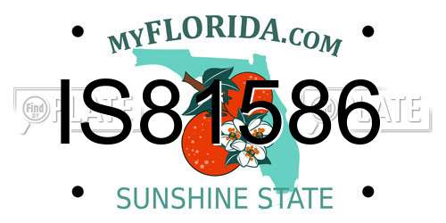 IS81586 Florida License Plate