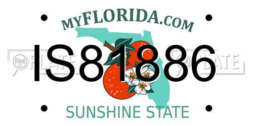 IS81886 Florida License Plate