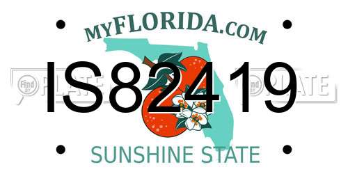 IS82419 Florida License Plate