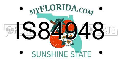 IS84948 Florida License Plate