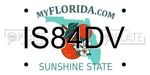 IS84DV Florida License Plate