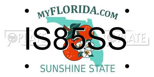 IS85SS Florida License Plate