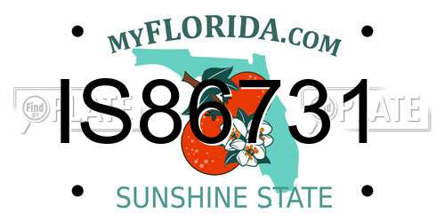 IS86731 Florida License Plate
