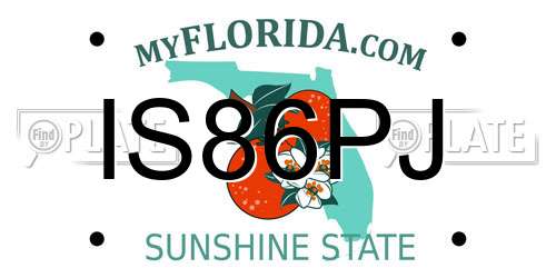 IS86PJ Florida License Plate