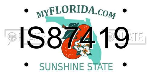 IS87419 Florida License Plate