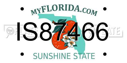 IS87466 Florida License Plate