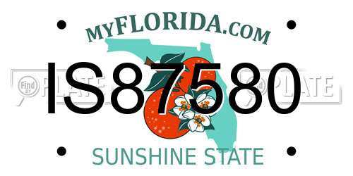IS87580 Florida License Plate