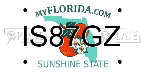 IS87GZ Florida License Plate