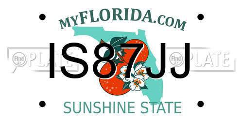 IS87JJ Florida License Plate