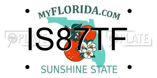 IS87TF Florida License Plate