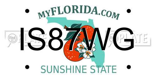 IS87WG Florida License Plate