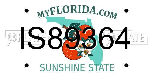 IS89364 Florida License Plate
