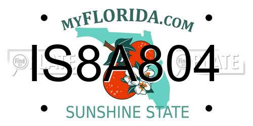 IS8A804 Florida License Plate