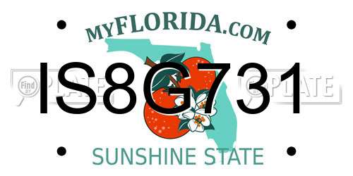 IS8G731 Florida License Plate