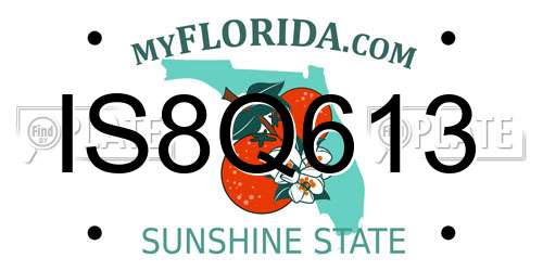 IS8Q613 Florida License Plate