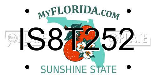 IS8T252 Florida License Plate