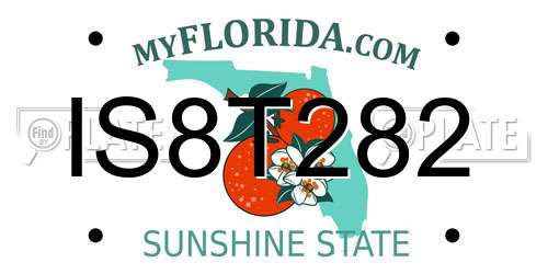 IS8T282 Florida License Plate