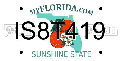 IS8T419 Florida License Plate
