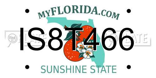 IS8T466 Florida License Plate