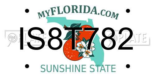IS8T782 Florida License Plate