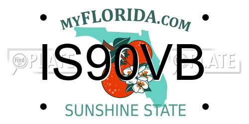 IS90VB Florida License Plate