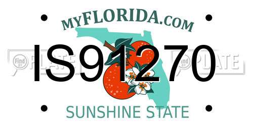 IS91270 Florida License Plate