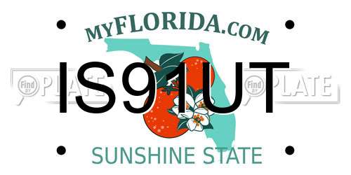 IS91UT Florida License Plate