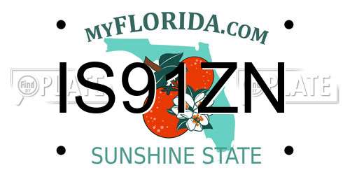 IS91ZN Florida License Plate