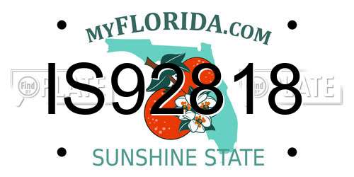 IS92818 Florida License Plate