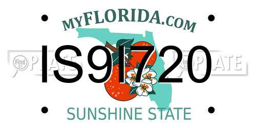 IS9I720 Florida License Plate