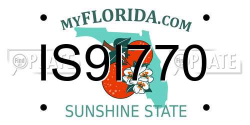 IS9I770 Florida License Plate
