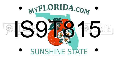IS9T815 Florida License Plate