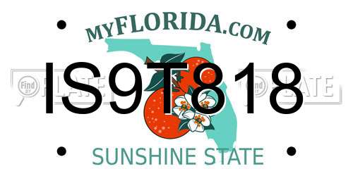 IS9T818 Florida License Plate