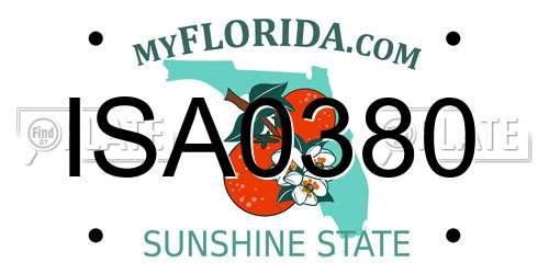 ISA0380 Florida License Plate