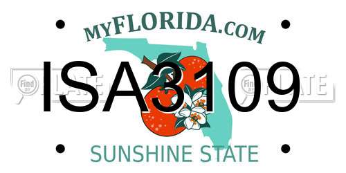 ISA3109 Florida License Plate