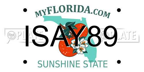 ISAY89 Florida License Plate